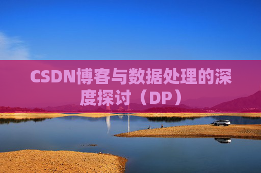 CSDN博客与数据处理的深度探讨（DP）